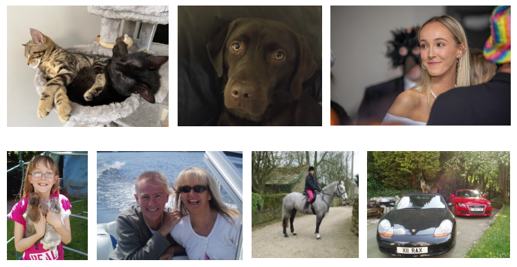 Images of Rachel Moore's family and pets